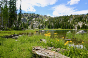 horseback pack trips wyoming