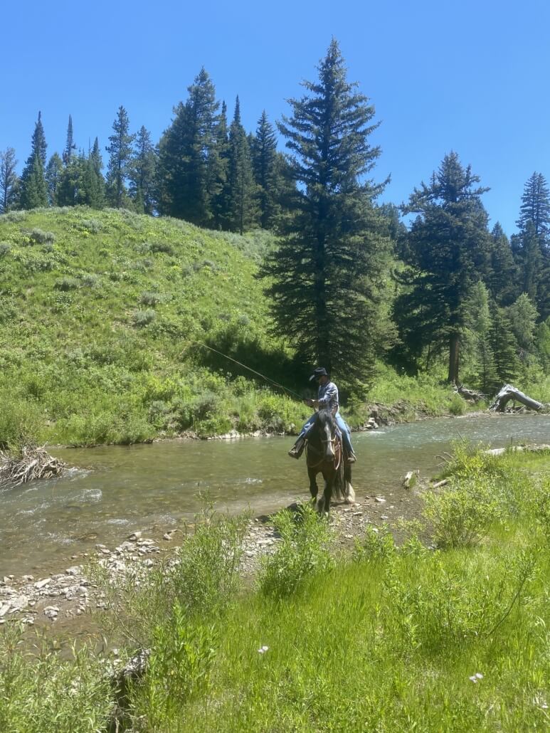 Overnight Jackson Hole Wyoming Pack Trips